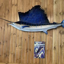 a sailfish mounted on the wall a sailfish mounted on the wall