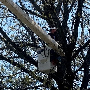 Brown's Tree Service LC - Tree Services Near Me - Topeka, Kansas Brown's Tree Service LC - Tree Services Near Me - Topeka, Kansas