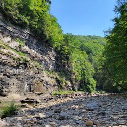 Worlds End State Park - Creek