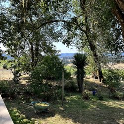 Bradley Vineyards