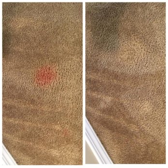 Alberta - Specialty stain removal - Carpet Cleaning Near Me Alberta - Specialty stain removal - Carpet Cleaning Near Me
