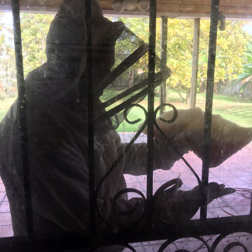 Miami Bee Removal - Pest Control Near Me - Miami, Florida Miami Bee Removal - Pest Control Near Me - Miami, Florida