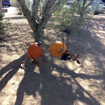 Enchanted Pumpkin Garden - Pumpkin Patches Near Me - Carefree, Arizona Enchanted Pumpkin Garden - Pumpkin Patches Near Me - Carefree, Arizona