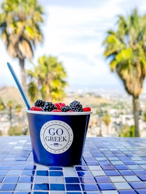 Go Greek Yogurt by null