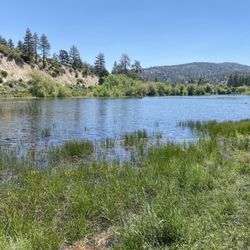 Jackson Flat