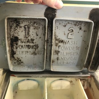 Santa Fe Trail Laundry Mat - Mold growing in all soap containers - Laundromat Near Me - Lamar, Colorado