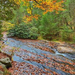 Hickory Run State Park