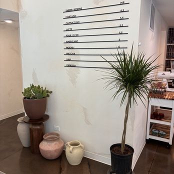 Tabeeb Roasters - Coffee & Tea Near Me - Chicago, Illinois Tabeeb Roasters - Coffee & Tea Near Me - Chicago, Illinois