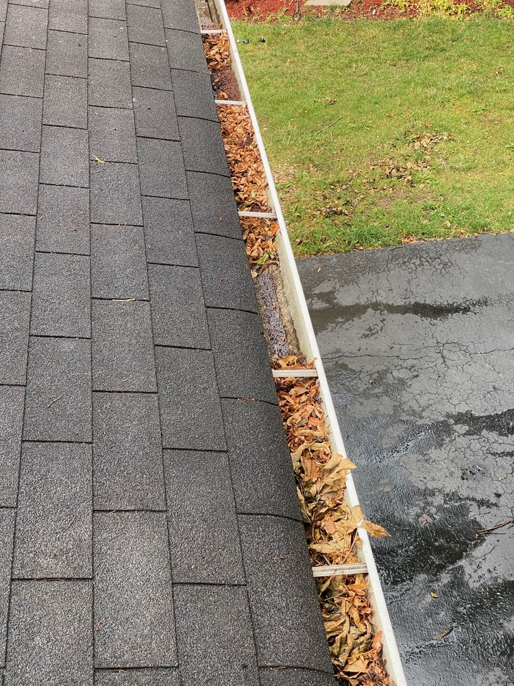 Slide of Mighty Dog Roofing of SE Tampa