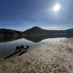 Lake Hodges Reservoir - Pumba and Timon just exploring