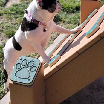 Newbark Dog Park - An A-frame for agility exercises - Dog Parks Near Me - Newark, California Newbark Dog Park - An A-frame for agility exercises - Dog Parks Near Me - Newark, California