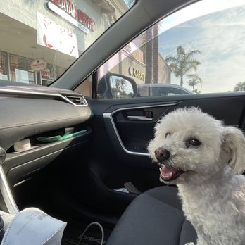 Himalayan Bistro Oceanside - Lady thinks their food smells amazing. - Indian Near Me - Oceanside, California