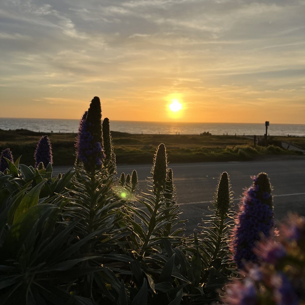 White Water - View right outside our door - Hotels Near Me - Cambria, California