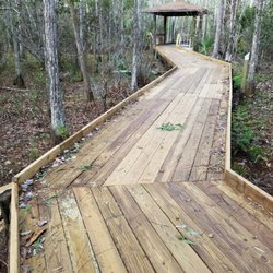 Shoreline Lumber