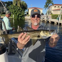 Southern Charm Charters