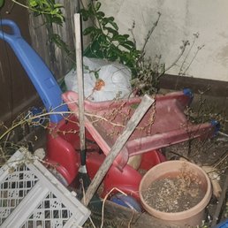 Junk to be removed