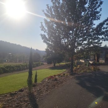 Paradis Vineyards - Tasting room on the right. Vineyard on the left. - Wine Tasting Room Near Me - Silverton, Oregon