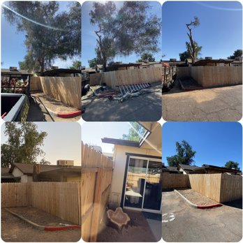 Best West Tree Company - Tree Services Near Me Best West Tree Company - Tree Services Near Me