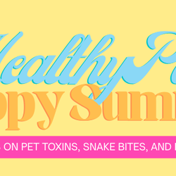 Northwest Georgia Veterinary Emergency Center