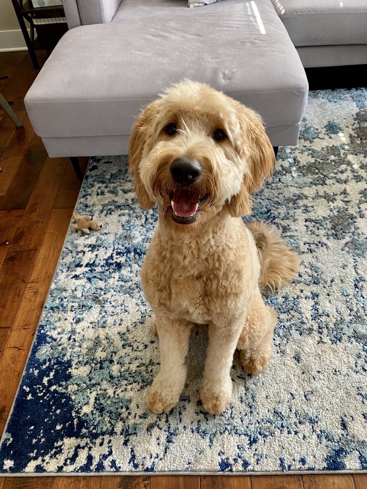 THE GROOM ROOM Updated August 2024 17 Reviews 1906 Federal Blvd