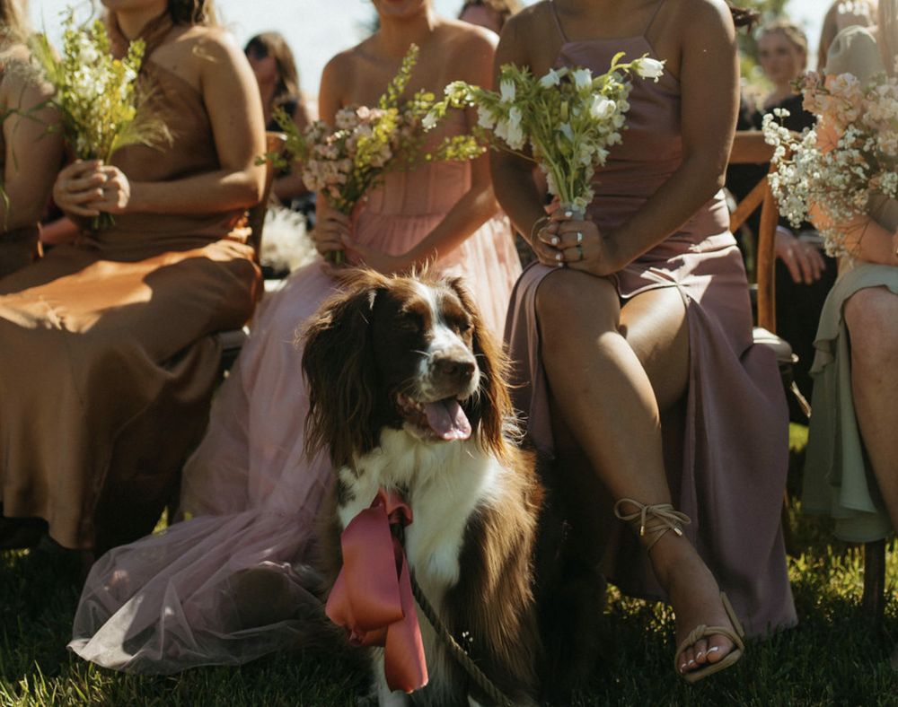 Earth Within Flowers