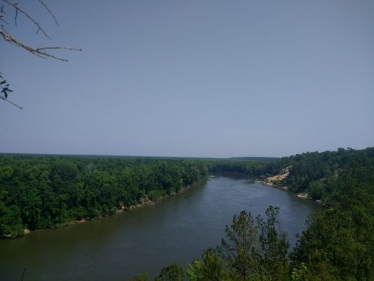 The Nature Conservancy Apalachicola Bluffs and Ravines Preserve (Garden of Eden trail) by null