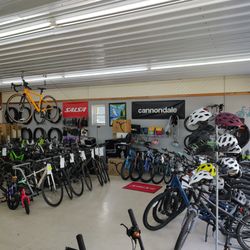 Coastline Cycles