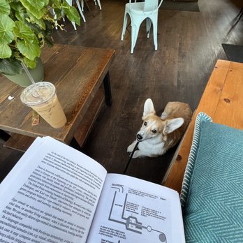 The Chai Guy - Coffee & Tea Near Me - Rochester, New York