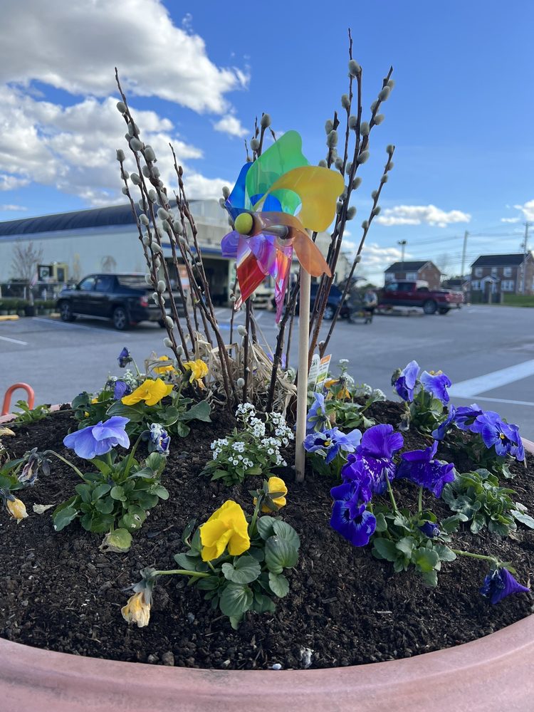 STAUFFERS OF KISSEL HILL HOME & GARDEN Updated September 2024 3949