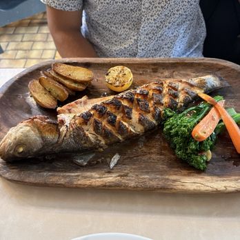 Dolce Vita - Penne Alla Vodka and Grilled Whole Branzino - Bars Near Me - Nyack, New York Dolce Vita - Penne Alla Vodka and Grilled Whole Branzino - Bars Near Me - Nyack, New York