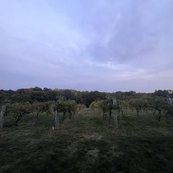 Cedar Ridge Winery & Distillery - Wineries Near Me - Swisher, Iowa Cedar Ridge Winery & Distillery - Wineries Near Me - Swisher, Iowa