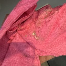 A dirty rag after cleaning up what they refused to.