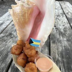 Chicken Pollo - Conch Fritters