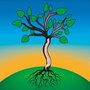 Photo of Wolfson Wellness Family Chiropractic