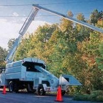 Boston Tree Company - untitled - Tree Services Near Me - West Roxbury, Massachusetts Boston Tree Company - untitled - Tree Services Near Me - West Roxbury, Massachusetts