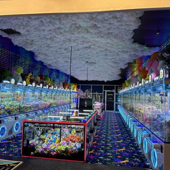 Claw City - Arcades Near Me - Springfield, Oregon Claw City - Arcades Near Me - Springfield, Oregon