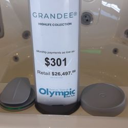 Olympic Hot Tub - Lacey - 27 thousand dollars for a outdoor bathtub