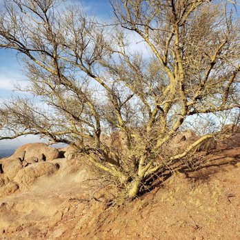 Camelback Mountain - Parks Near Me - Phoenix, Arizona