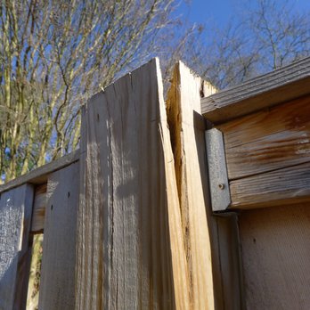 Lion's Fence - Before - Fences & Gates Near Me Lion's Fence - Before - Fences & Gates Near Me