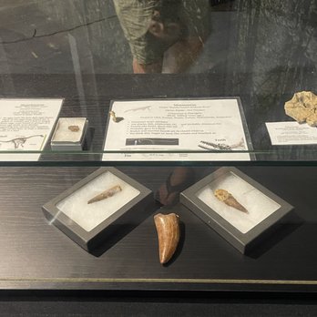 Freeman Coliseum - Every item inside a glass case is a real artifact. - Stadiums & Arenas Near Me - San Antonio, Texas