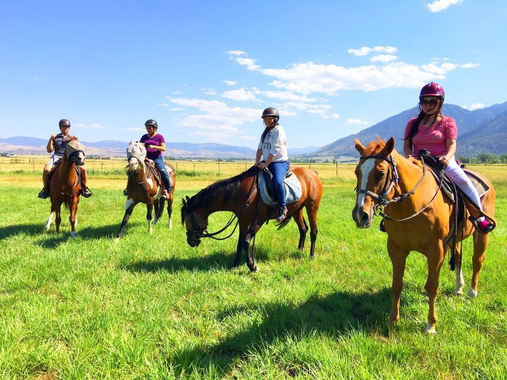 SHERIDAN CREEK EQUESTRIAN CENTER Updated September 2024 22 Photos