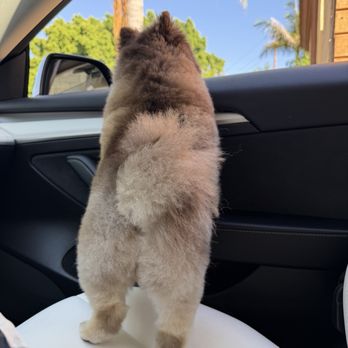 Moco Pet Grooming & Spa - Pet Groomers Near Me - Tustin, California Moco Pet Grooming & Spa - Pet Groomers Near Me - Tustin, California