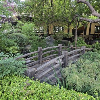 Domo - Garden - Japanese Near Me - Denver, Colorado Domo - Garden - Japanese Near Me - Denver, Colorado