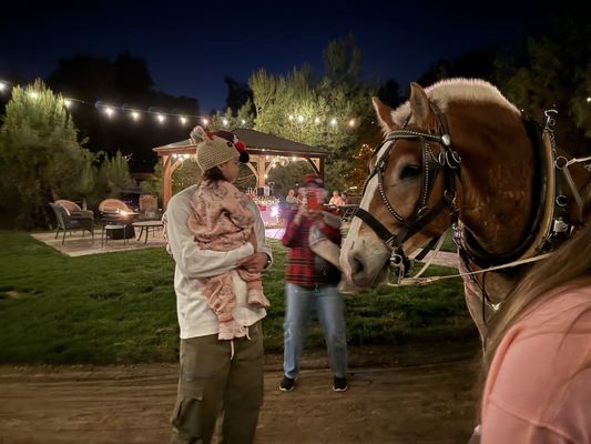 Temecula carriage company by null