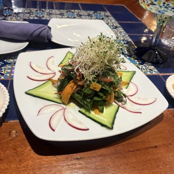 Rosa Sirena's - Vegetable salad with vinegarette dressing - Cocktail Bars Near Me - Isla Mujeres, ROO Rosa Sirena's - Vegetable salad with vinegarette dressing - Cocktail Bars Near Me - Isla Mujeres, ROO