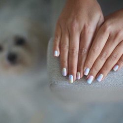 Nails By JoLe