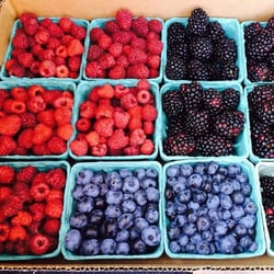 Oysterponds Farm - Berries!!