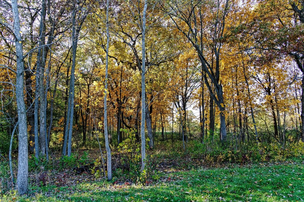 BEVIER PARK 60 Photos 2255 Wt Yorkhouse Rd, Waukegan, IL Yelp