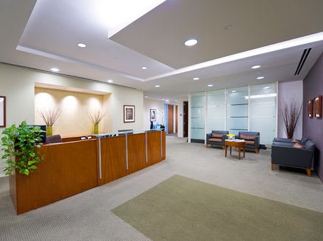 Oasis Counseling Services - grief counselor in Oak Brook, IL