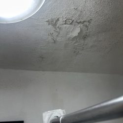 Comfort Inn & Suites near Route 66 - Black mold!!